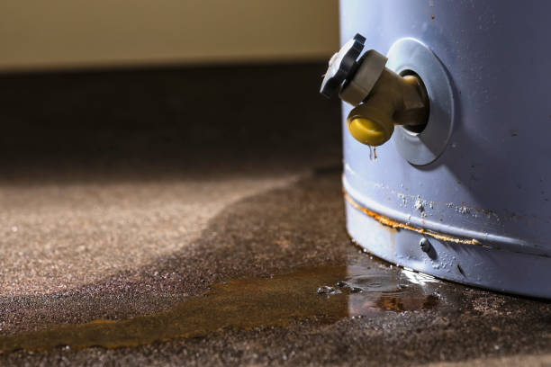 Best Water damage restoration near me  in Clarksville, IN