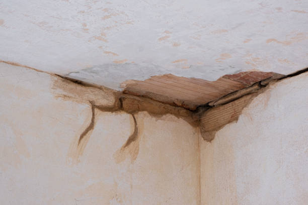 Best Water damage cleanup near me  in Clarksville, IN