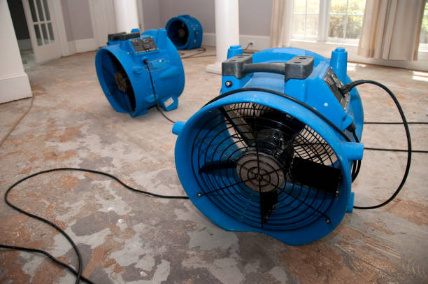  Clarksville, IN Water damage restoration Pros