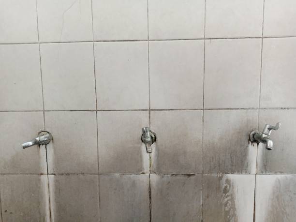 Best Basement water damage restoration  in Clarksville, IN