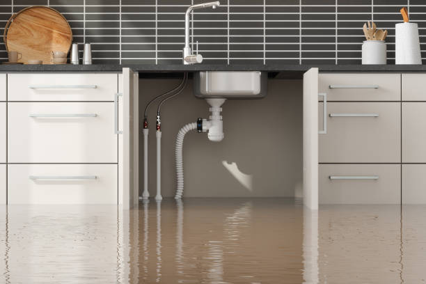 Best Fire Damage Restoration  in Clarksville, IN